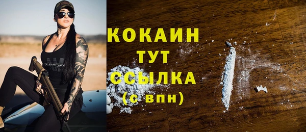 ГАЛЛЮЦИНОГЕННЫЕ ГРИБЫ Горно-Алтайск