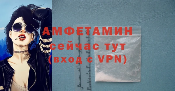 ГАЛЛЮЦИНОГЕННЫЕ ГРИБЫ Горно-Алтайск