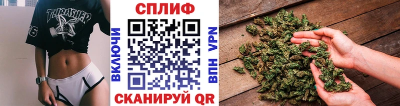 блэк спрут ссылка  Мценск  Бошки Шишки тримм 